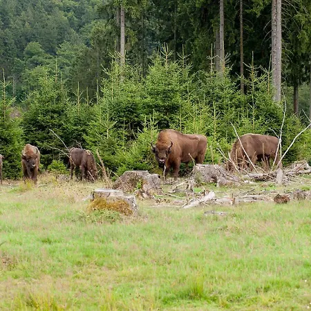Zum Schieferpfad * Bad Berleburg